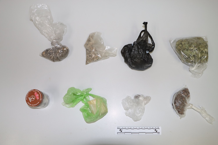 Slika /PU_ZG/slike/PUZ/2025/SIJEČANJ/DROGA 10-1-2025/IMG_0331.JPG